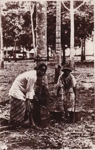 SINGAPUR - Klopfen Gummi 1931 Foto Postkarte 2c.+4c.