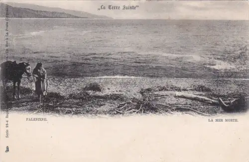 PALÄSTINA - Heiliges Land, Totes Meer, Postkarte