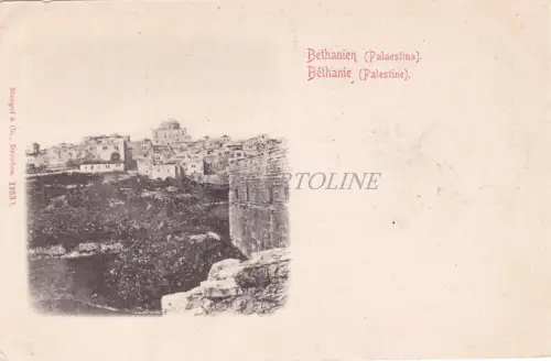 PALÄSTINA - Bethanien, Ansicht, Postkarte
