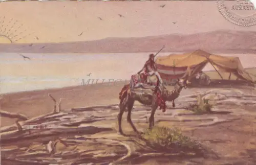 PALÄSTINA - Tiberias, Tiberiassee, Postkarte