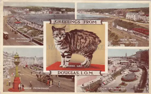 ENGLAND - Grüße aus Douglas, I.O.M., Ansichten & Manx Katze, Postkarte 1957