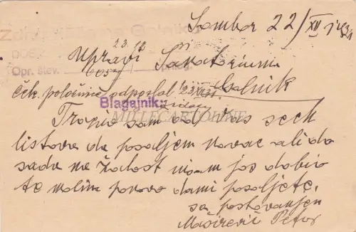 SERBIEN - Sombor, Blagajnik, Postkarte 1931