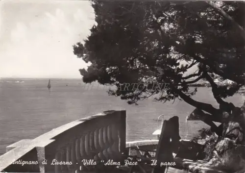 ANTIGNANO DI LIVORNO - Villa Alma Pace, il Parco 1965