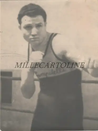 BOXEN - Italienischer Boxer - Campitelli - Foto