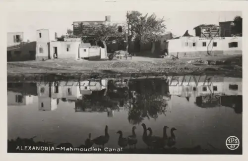 ÄGYPTEN - Alexandria, Mahmoudienkanal, Fotopostkarte