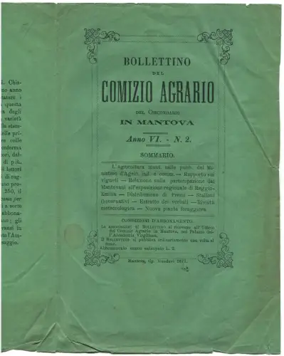 BULLETIN FLYERINO, AGRARKOMITEE IN MANTUA, 1877 m