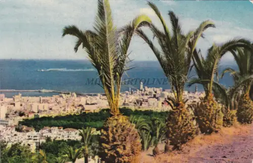 SPANIEN - Kanarische Inseln - Santa Cruz de Tenerife - Blick von Las Mimosas