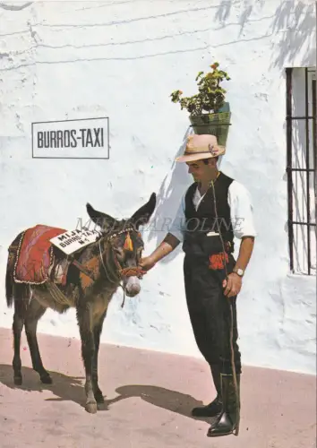 SPANIEN - Costa del Sol, Mijas, Esel Taxi