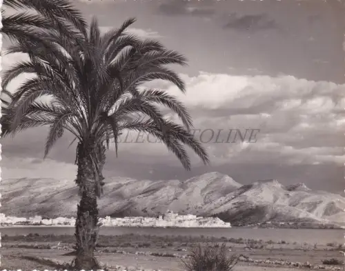 SPANIEN - Benidorm, Alicante, Vista General, Sanchez Foto Postkarte