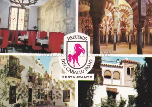 SPANIEN - Cordoba, Recordo del Caballo Rojo Restaurant, Postkarte