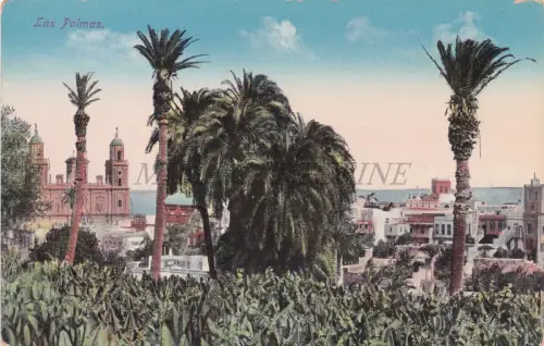 SPANIEN - Las Palmas, Puerto de la Luz, Palmen, Postkarte