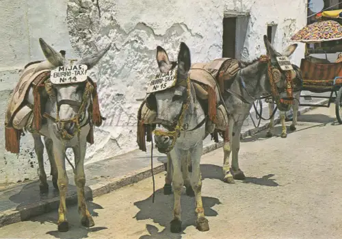 SPANIEN - Mijas, Parada de esel taxi, Postkarte