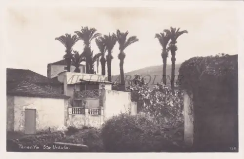 SPANIEN - Teneriffa, Santa Cruz, Sta Ursula, Foto Postkarte