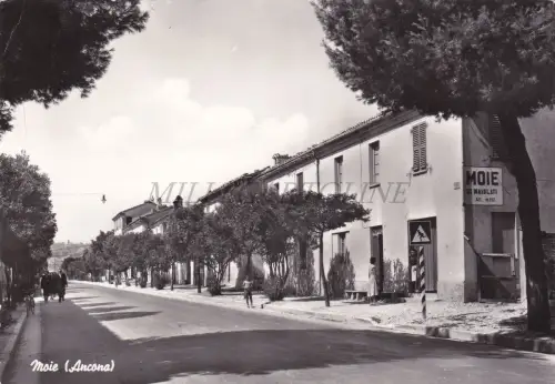 MOIE - Ancona, Ansicht, Foto Postkarte 1961