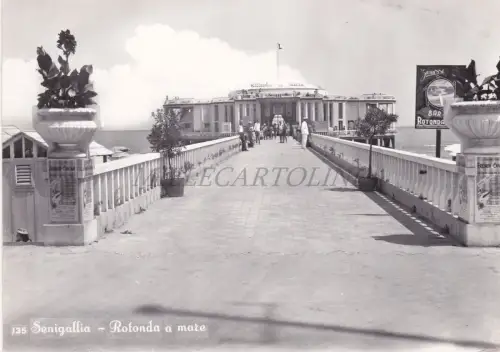 SENIGALLIA - Rotonda a Mare, Foto Postkarte 1956