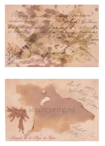 SPANIEN - Gijón, Recuedo de la Playa, 2 Postkarten Blumen 1900