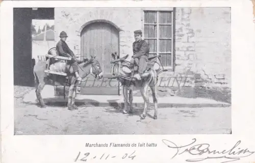 BELGIEN - Antwerpen, Flämische Milchhändler Battu, Postkarte 1904