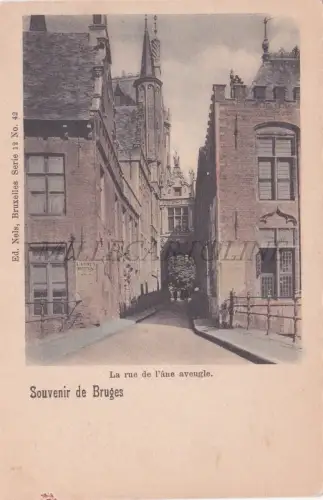 BELGIEN - Brügge, Souvenir, Rue de l'ane blinde, Postkarte 1900