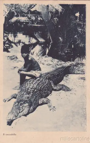 * INDIEN - Italienische Missionen - Junge und Krokodil