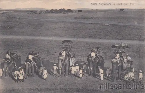 * INDIEN - Staatselefanten in Reihe