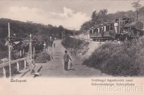 * UNGARN - Budapest - Svábhegy Fogaskerekű Vasut, Zug