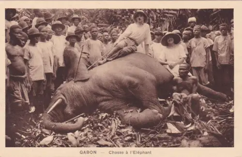 * GABUN - Gesellschaft Evangelischer Missionen - Elefantenjagd