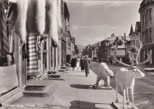 * NORWEGEN - Tromsø