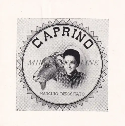 ZIEGENKÄSE - Etikett