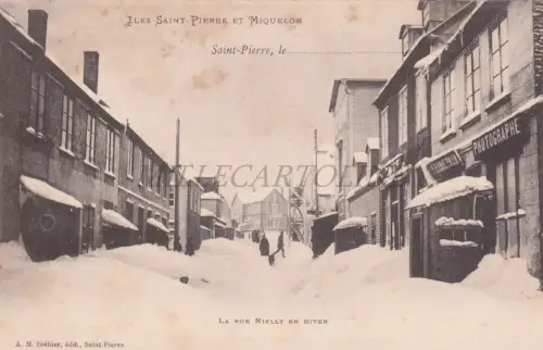 FRANKREICH - Saint Pierre, Iles Saint-Pierre et Miquelon, Rue Nielly, Postkarte 1900