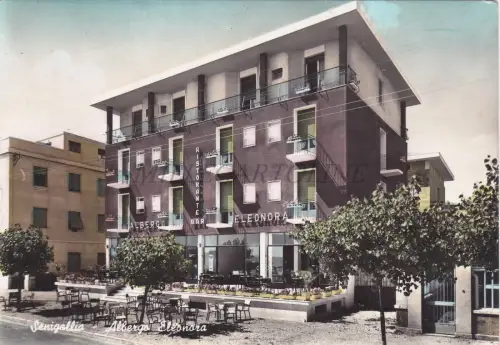 SENIGALLIA - Hotel Eleonora, Foto Postkarte