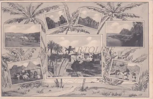 M. NEUFELD - Pension in Assuan Aswān Egypt, Deutsches Haus, Karton