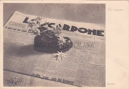 LO SCARPONE Gavirati, Alpensterne, Foto Postkarte 1936 Wanderzeitung
