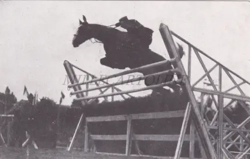 REITEN - Ten. Giorgi auf 'Ausnahme', Reitwettbewerb Turin 1930, Postkarte