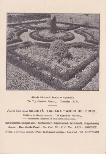 BICOLOR BOSSO E MYSOTIS Blumengarten, Blumenfreunde Postkarte 1931