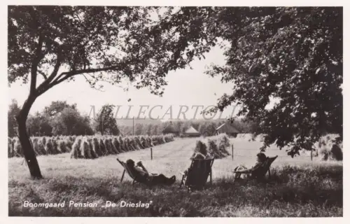 NIEDERLANDE - Hummelo, Boomgaard Pension 'De Drieslag', Foto AK