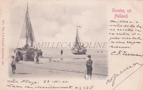 NIEDERLANDE - Den Haag, 's Gravenhage, Grüße aus Holland, Postkarte 1901