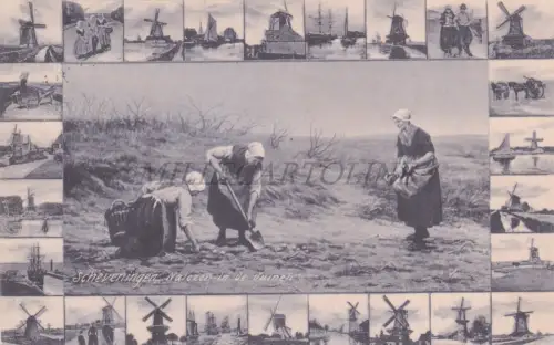 NIEDERLANDE - Scheveningen, Nalezen in den Dünen, Postkarte 1907