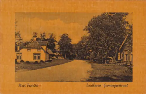 NIEDERLANDE - Zuidlaren, Groningerstraat, Postkarte