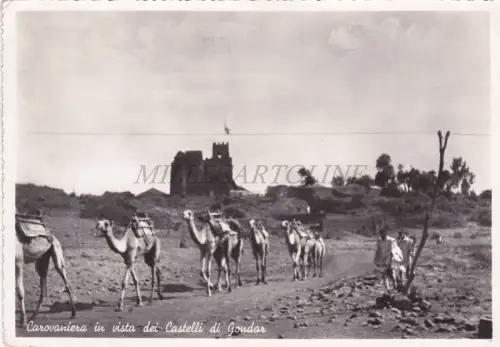 ÄTHIOPIEN - Karawane im Blick auf die Schlösser von Gondar, Foto Postkarte 1938