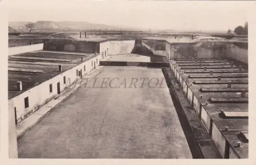 TSCHECHISCHE REPUBLIK - Theresienstadt, Povestny etvrty v Malé pevnosti, Foto Postkarte