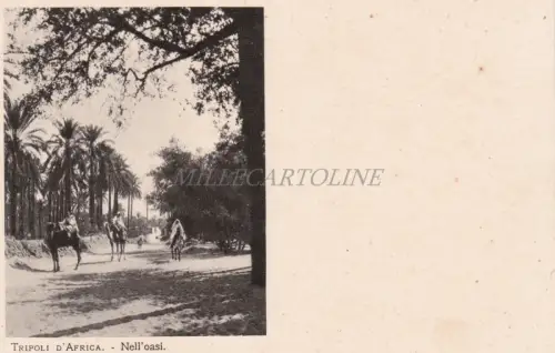 LIBYEN - Mustermesse Tripolis - In der Oase