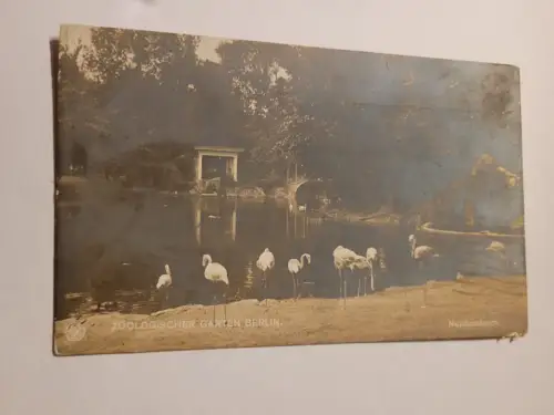 Zoologischer Garten Berlin Postkarte: