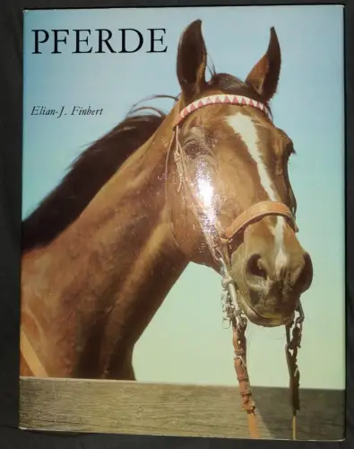 Pferde Finbert, Elian-J.: