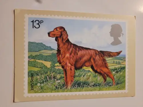 British Dog Postkarte: