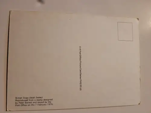 British Dog Postkarte: