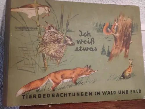 Ich weiß etwas - Tierbeobachtungen in Wald und Feld