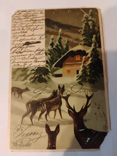 Rehe vor Hütte Postkarte:
