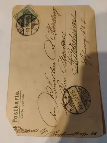 Rehe vor Hütte Postkarte: