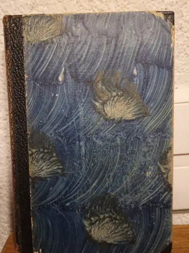 Friedmann Bach Brachvogel: