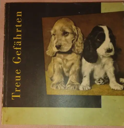 Treue Gefährten